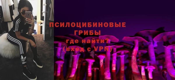 дмт Гусиноозёрск