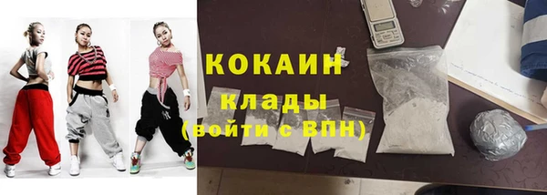 Альфа ПВП Гусев