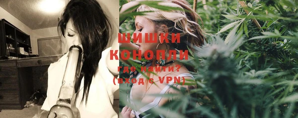 Альфа ПВП Гусев