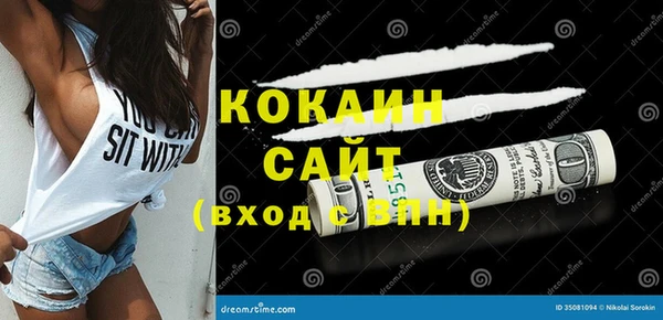 Альфа ПВП Гусев