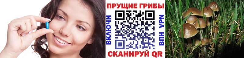 Псилоцибиновые грибы мухоморы  Саров 